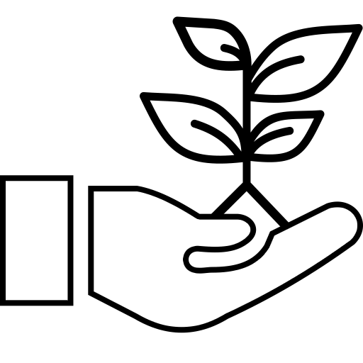 Wachstum